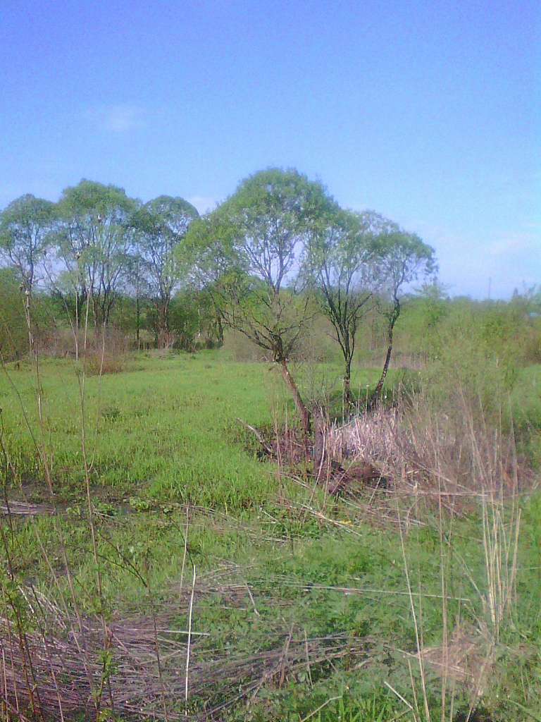 Краєвид - Довге