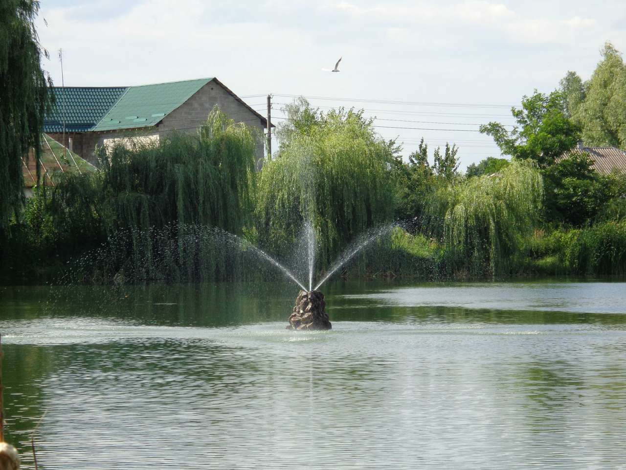 Очима туриста, фото Андрія Сніжка - Требухів
