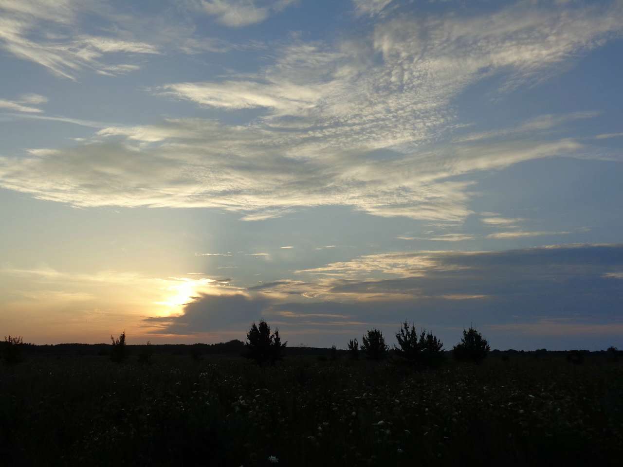 Природа, фото Андрія Сніжка - Митченки