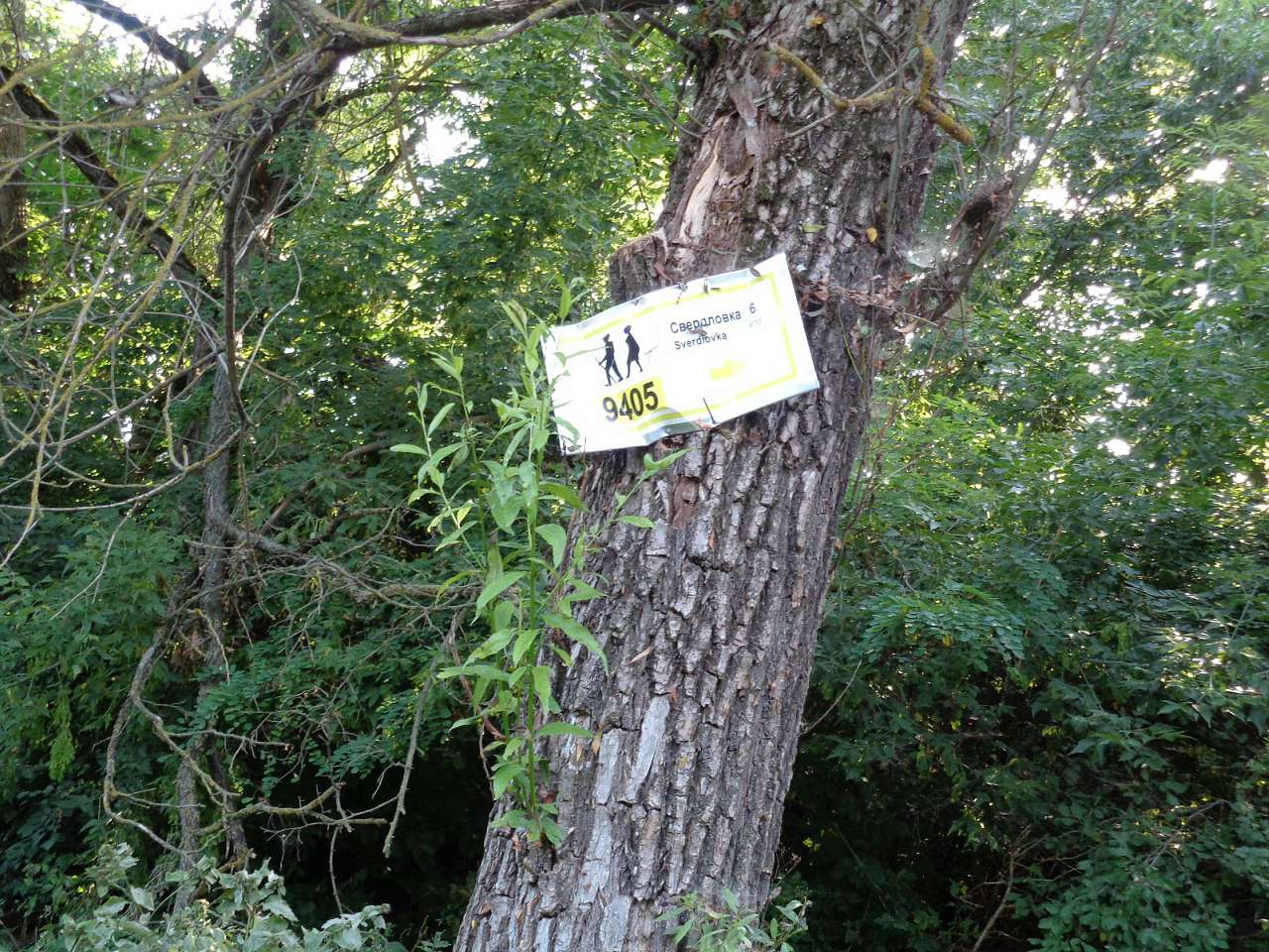 Очима туриста, фото Андрія Сніжка - Радичів