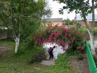 Річка Зубра