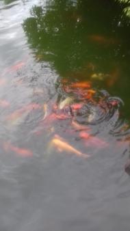 Духовний храм