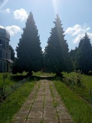 Стара церква Св. Миколи (Перенесення мощей Св