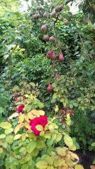 Духовний храм