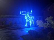 Київець - Останні фото