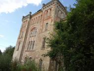 Палац Скарбека (психіатрична лікарня)