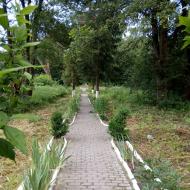 Палац Скарбека (психіатрична лікарня)