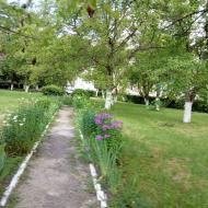 Палац Скарбека (психіатрична лікарня)