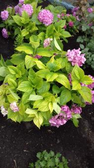 Духовний храм