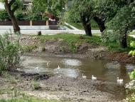 Річка Зубра