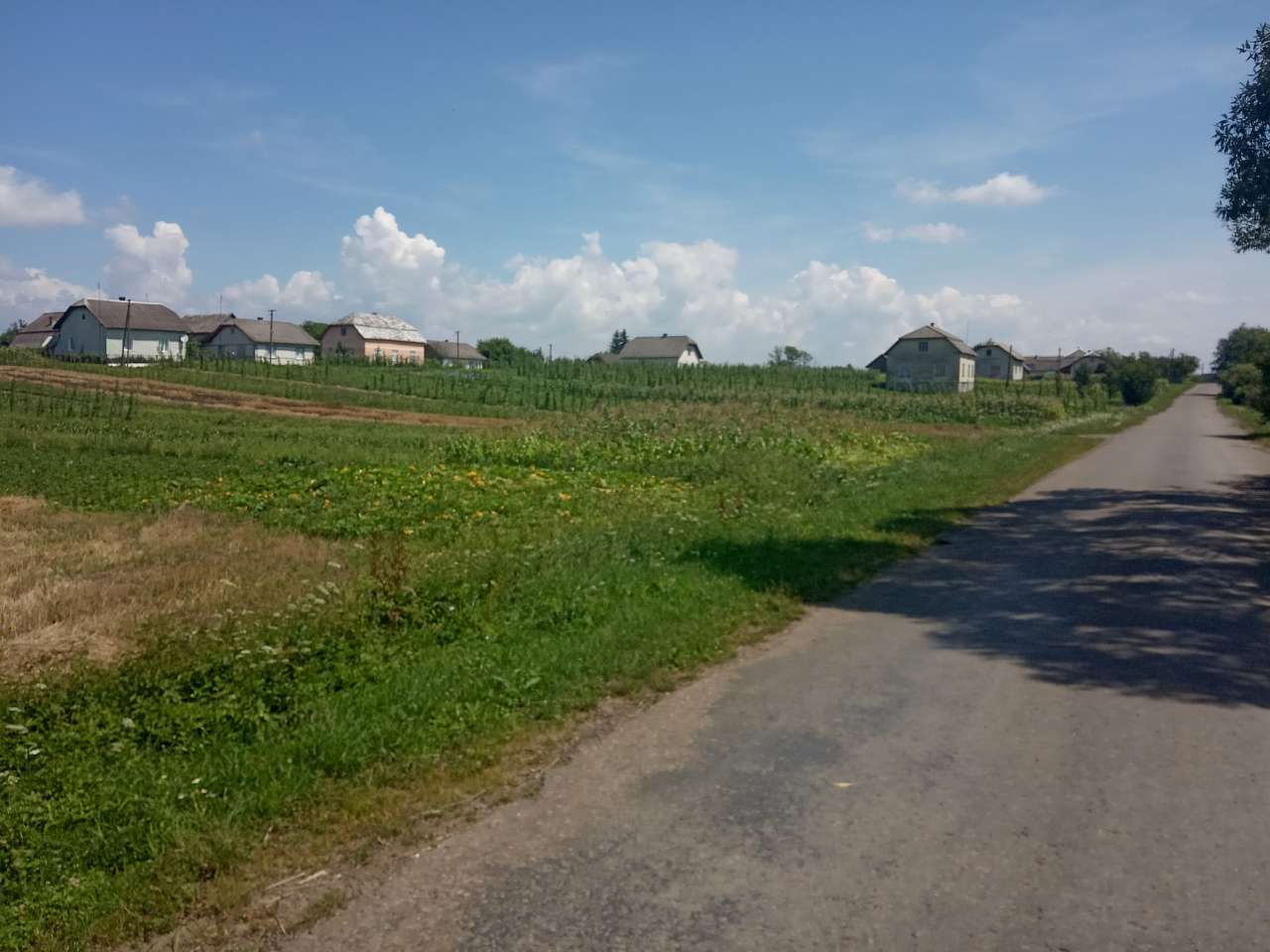 Краєвид - Покровцы