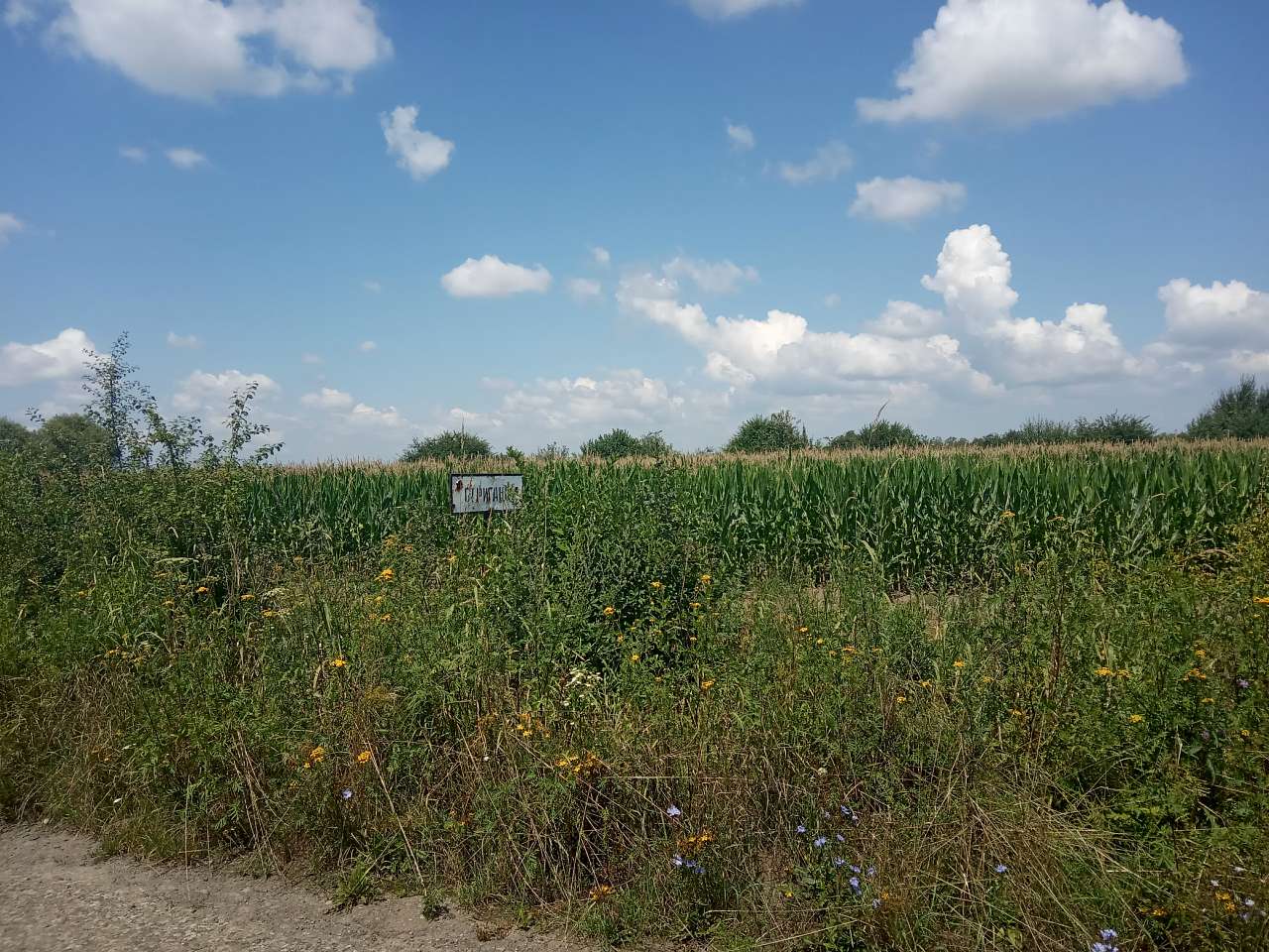 Краєвид - Стриганці