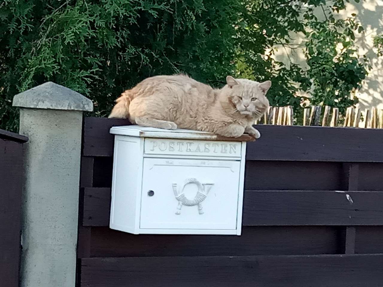 зоосвіт - Братківці