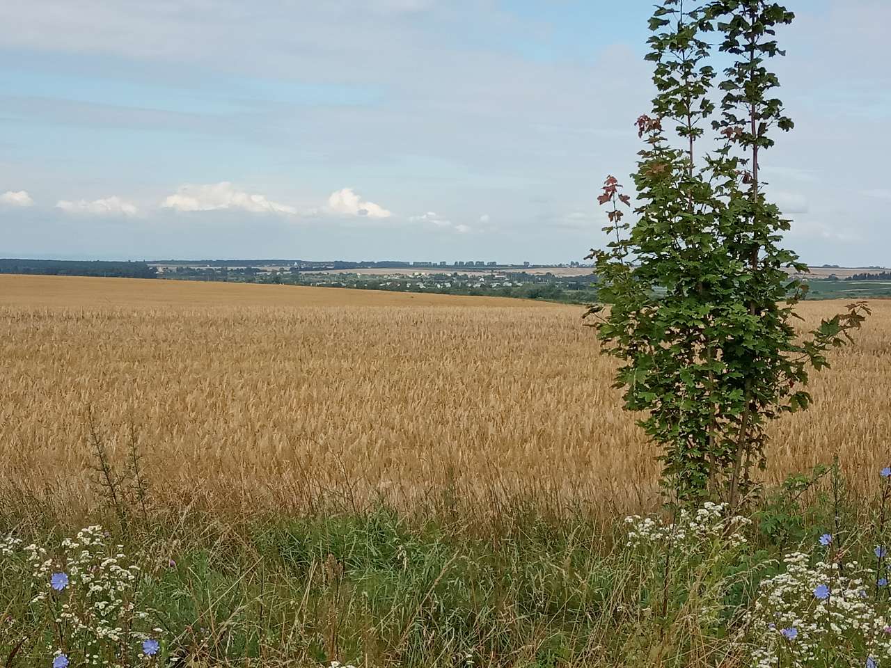 Краєвид - Демня