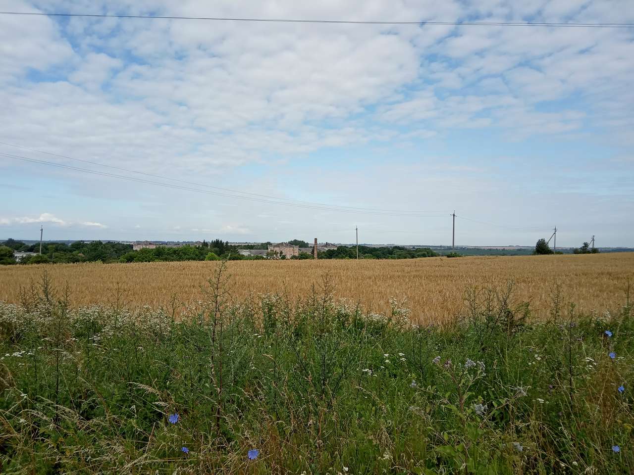 Краєвид - Заклад