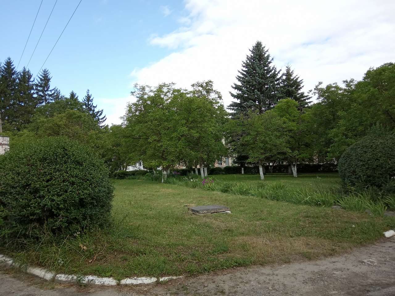 Палац Скарбека (психіатрична лікарня) - Заклад