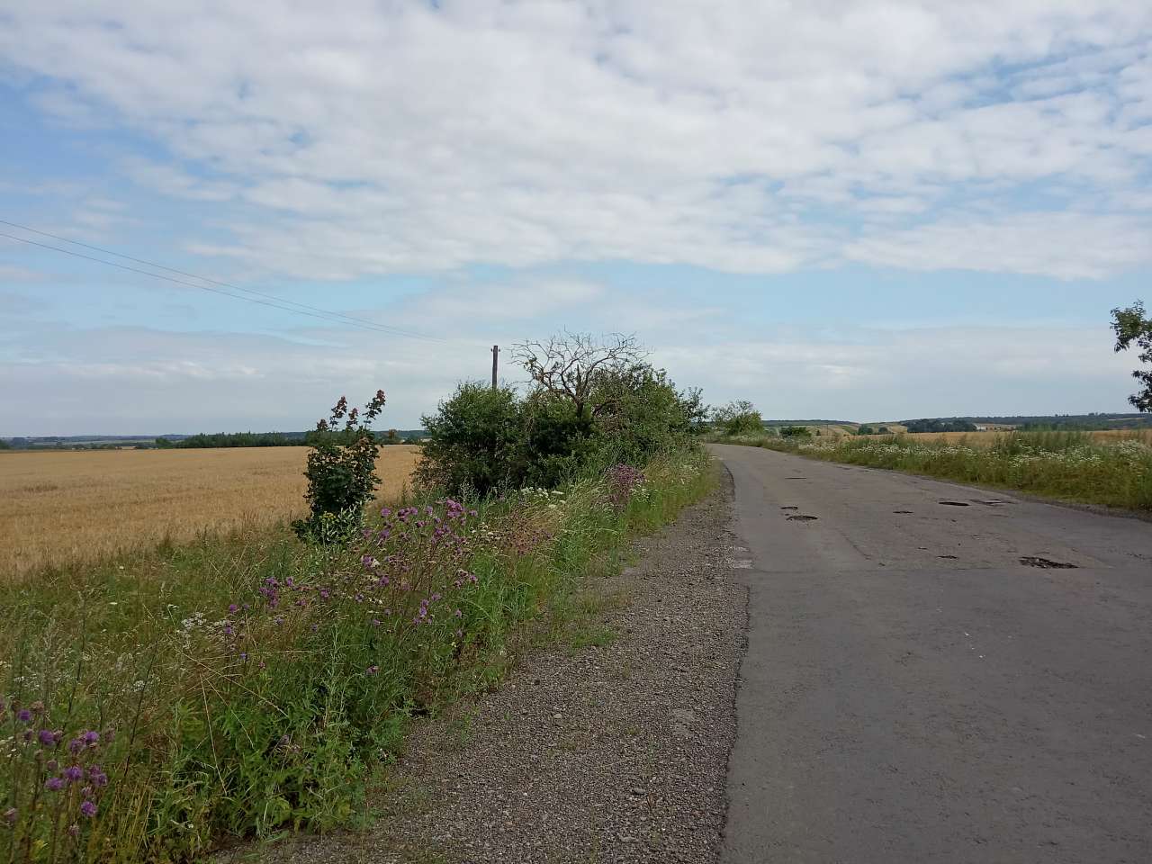 Краєвид - Демня
