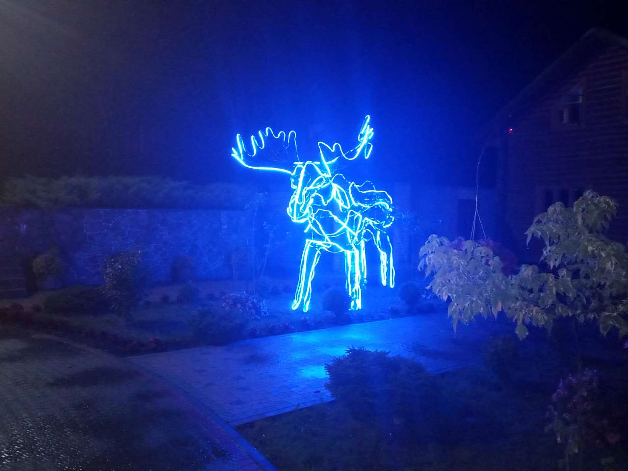 кафе-бар Вікторія - Київець