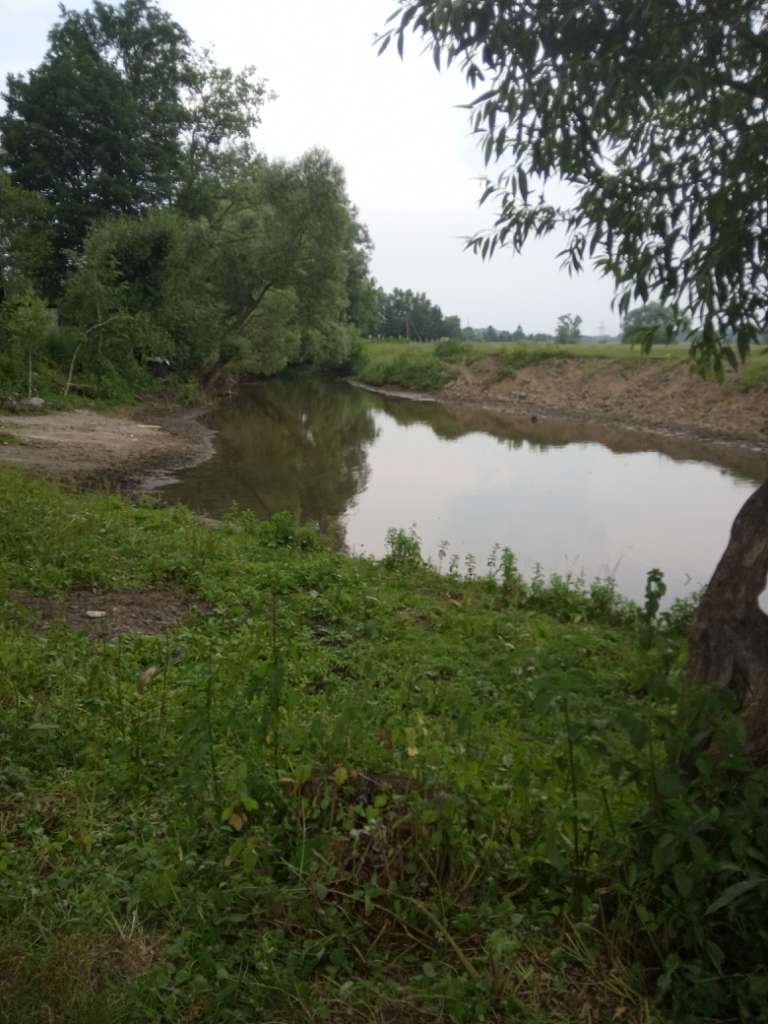 річка Вівнянка - Держів