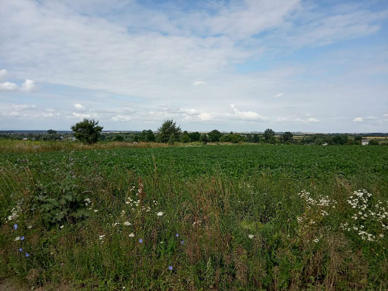 Краєвид - Демня