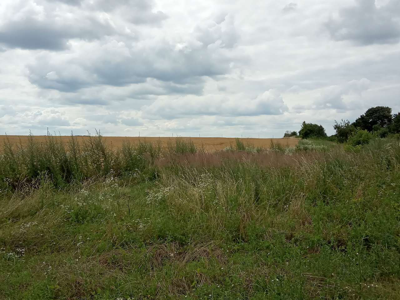 Краєвид - Демня