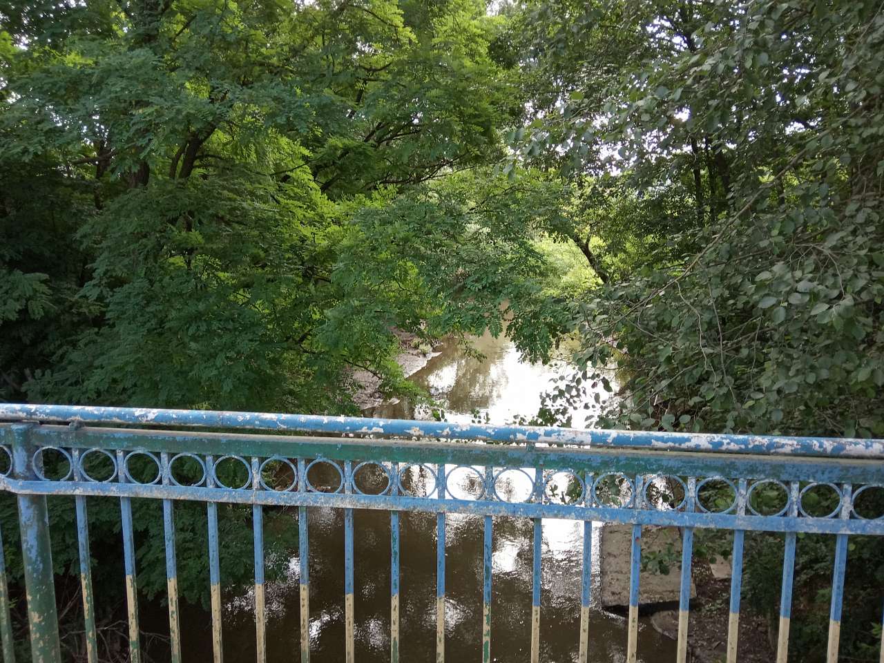 Річка Зубра - Демня