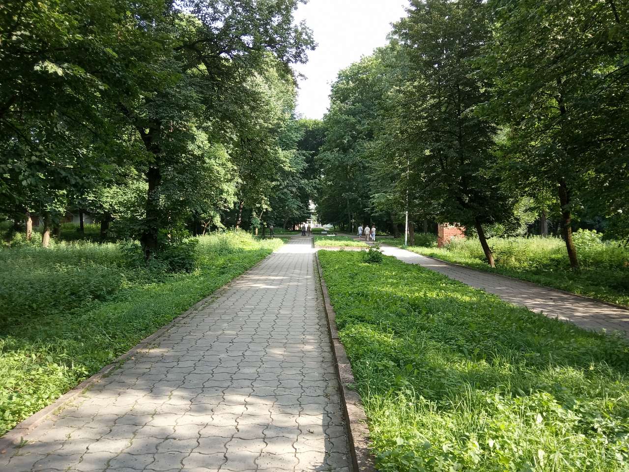 парки - Стрый