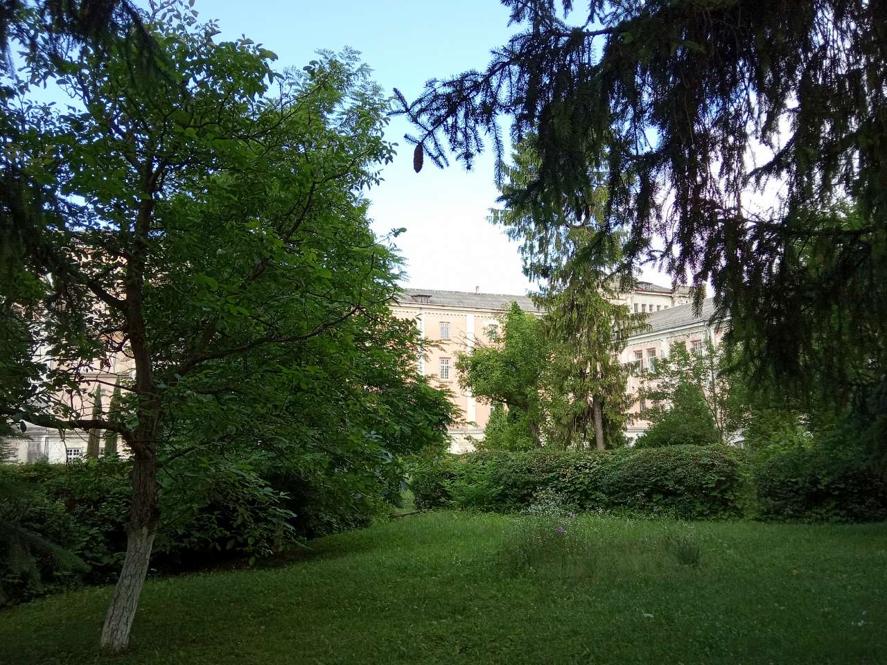 Палац Скарбека (психіатрична лікарня) - Заклад