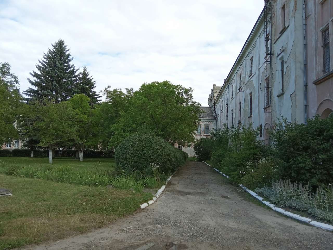 Палац Скарбека (психіатрична лікарня) - Заклад