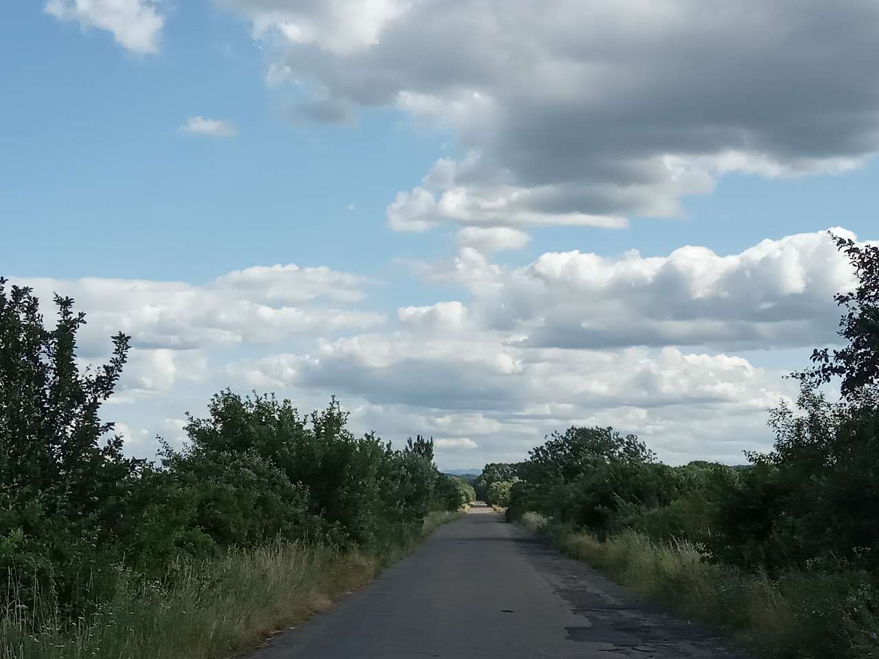 краєвид - Zhulyn