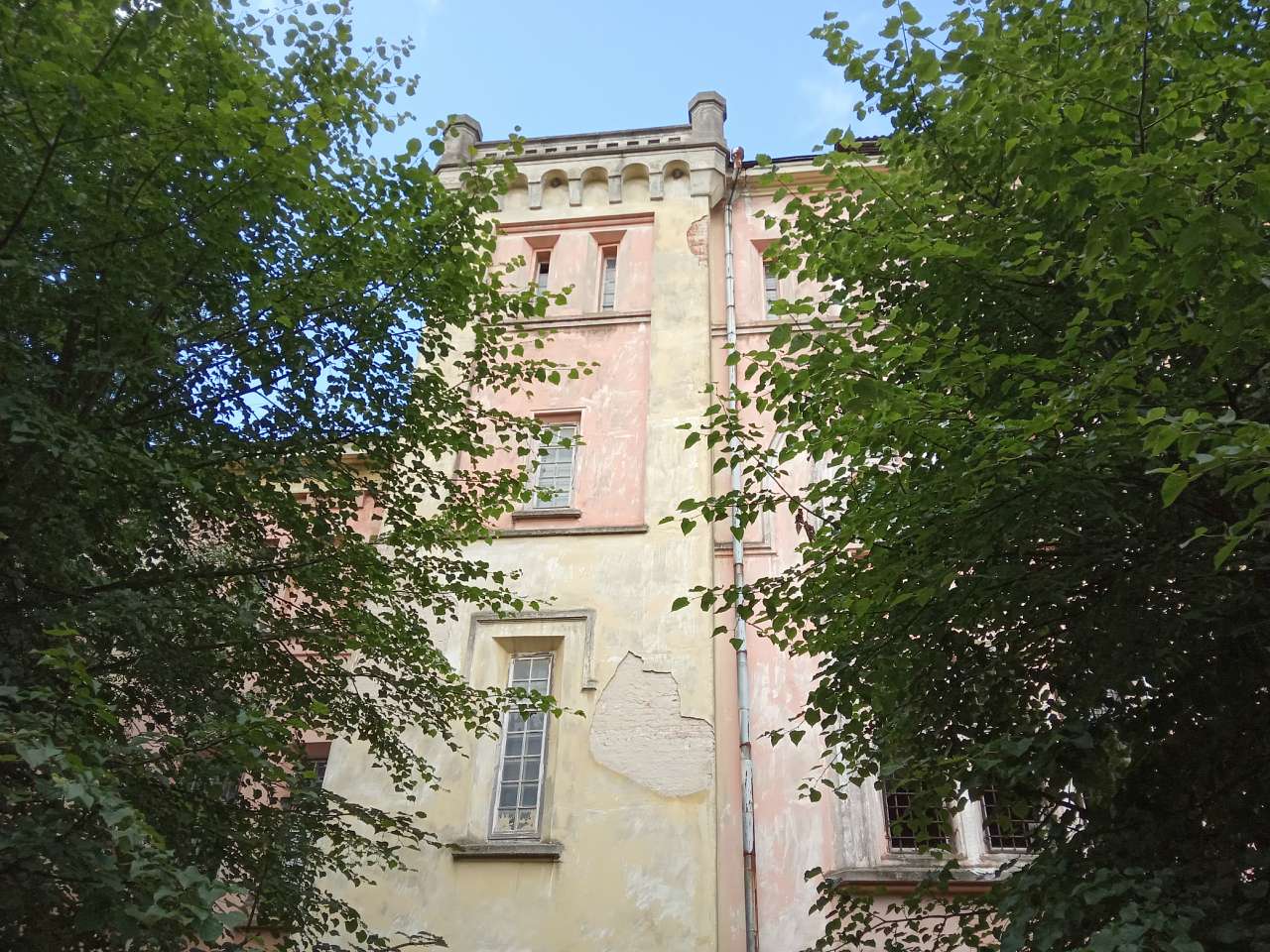 Палац Скарбека (психіатрична лікарня) - Заклад