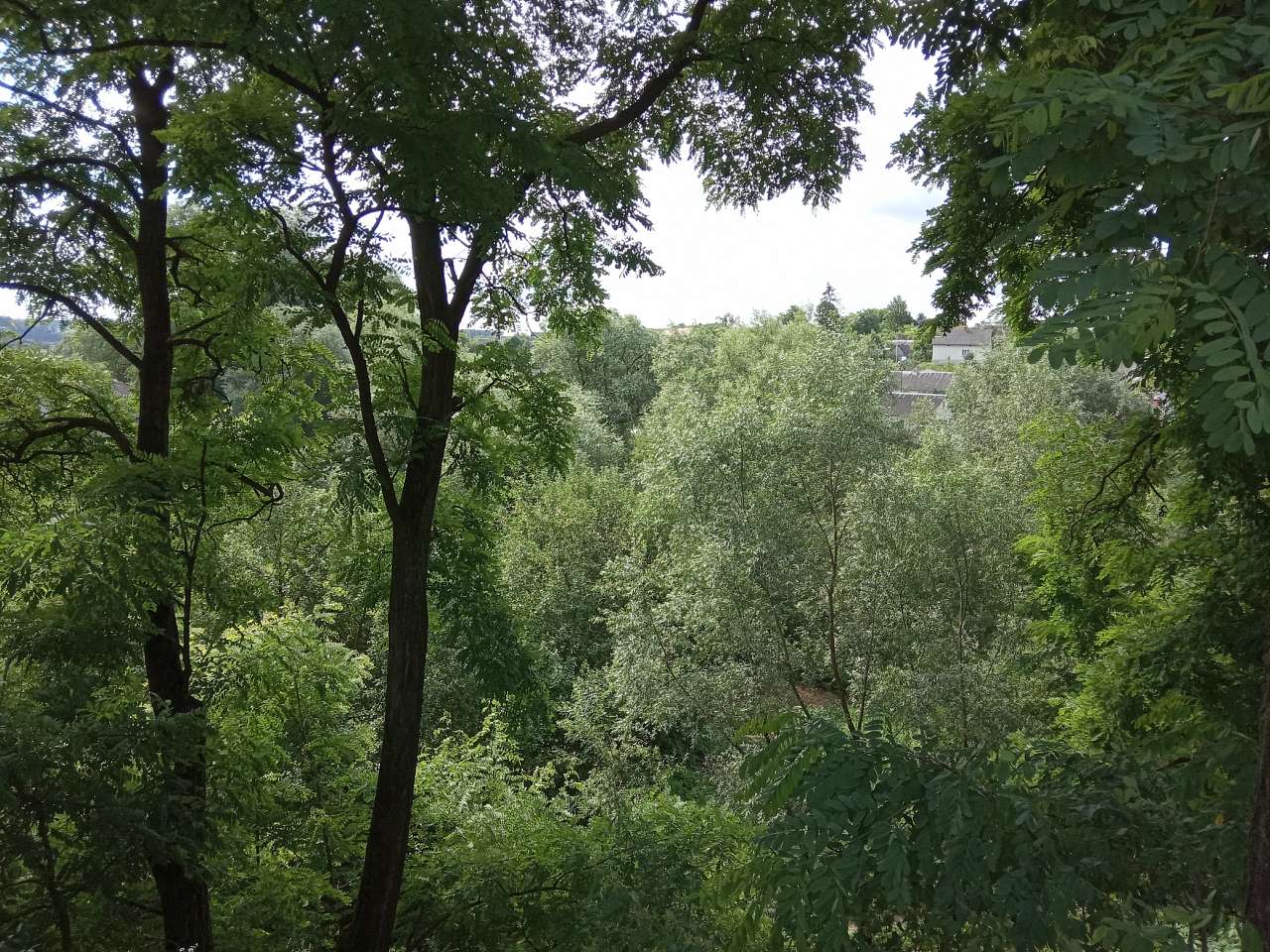 Краєвид - Демня