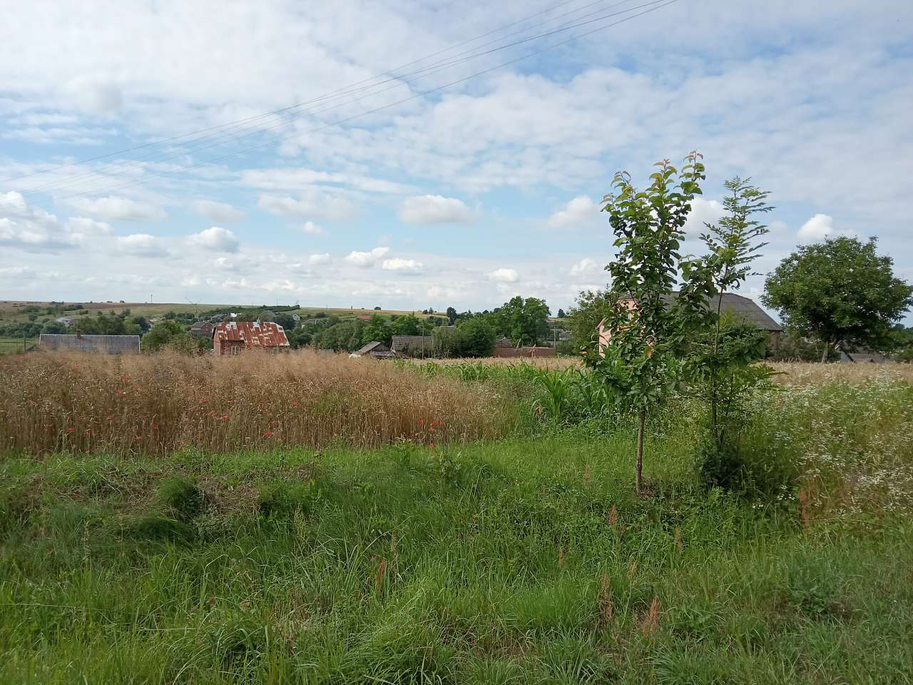 Краєвид - Демня