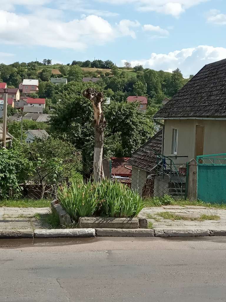 Вулицями міста - Миколаїв