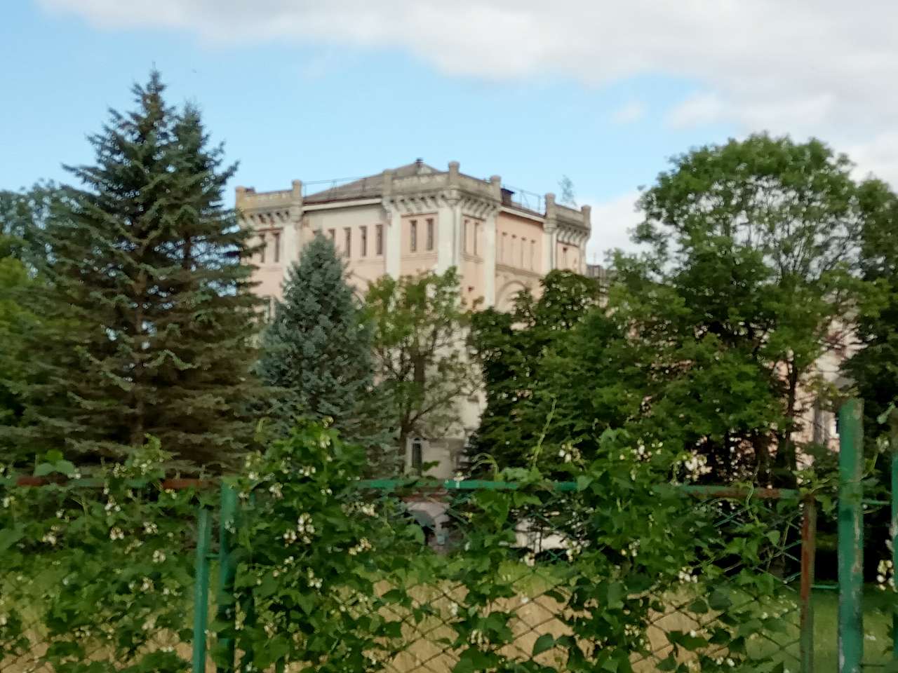 Палац Скарбека (психіатрична лікарня) - Заклад