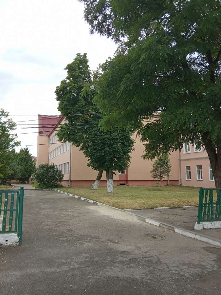 Навчальні заклади - Миколаїв