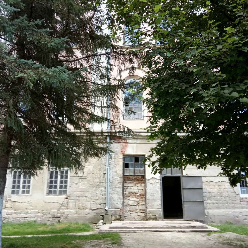 Палац Скарбека (психіатрична лікарня) - Заклад