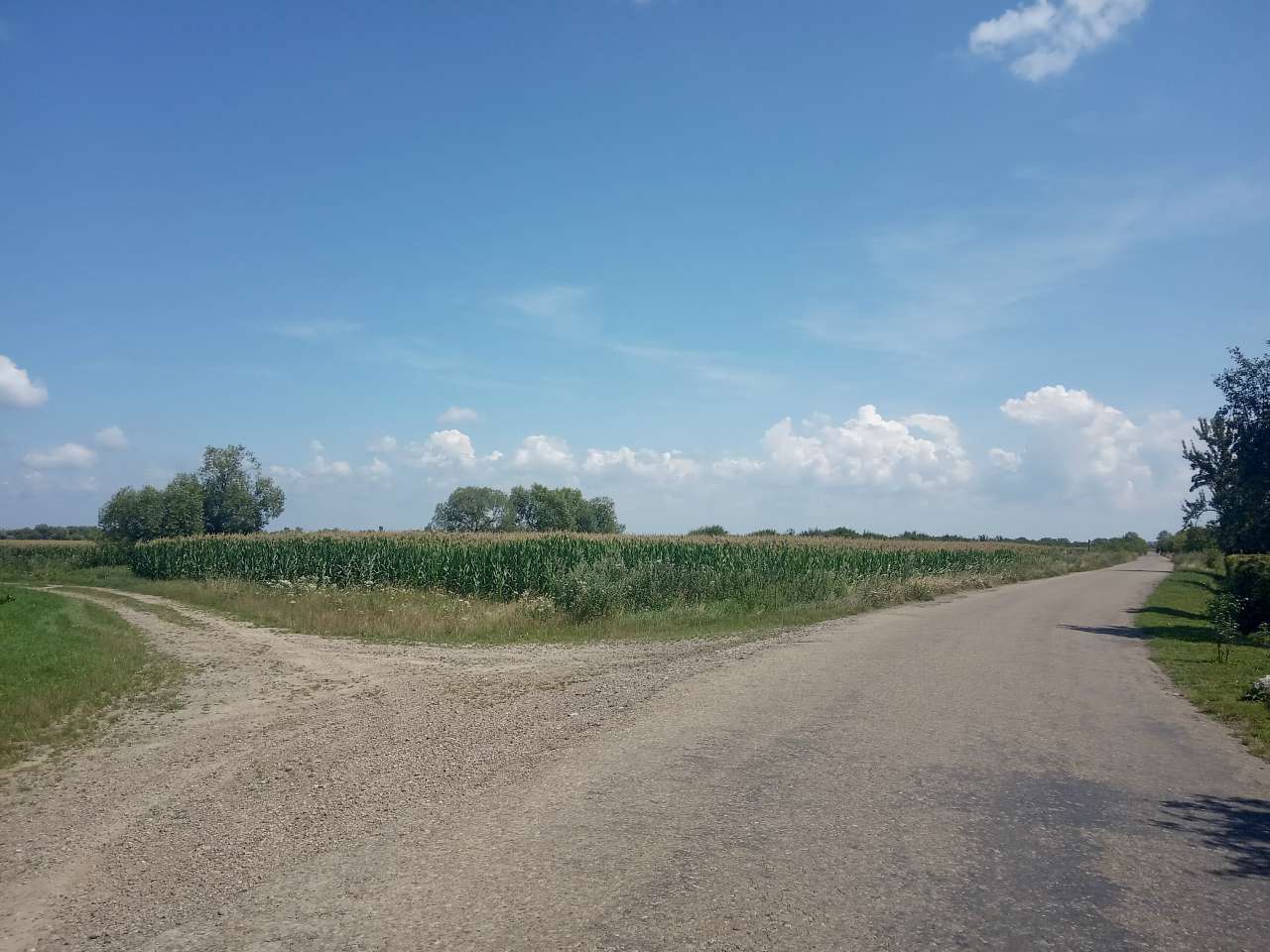 Краєвид - Стриганці