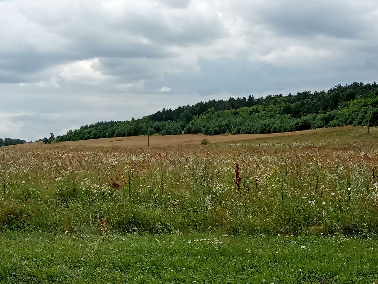 Краєвид - Тростянець