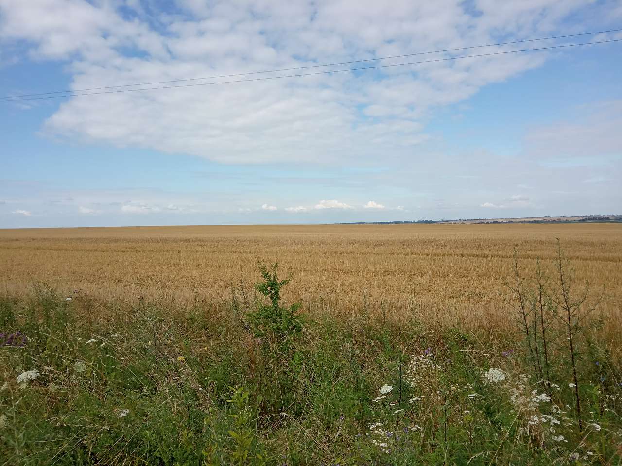 Краєвид - Демня
