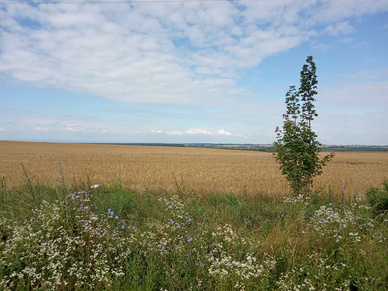 Краєвид - Демня