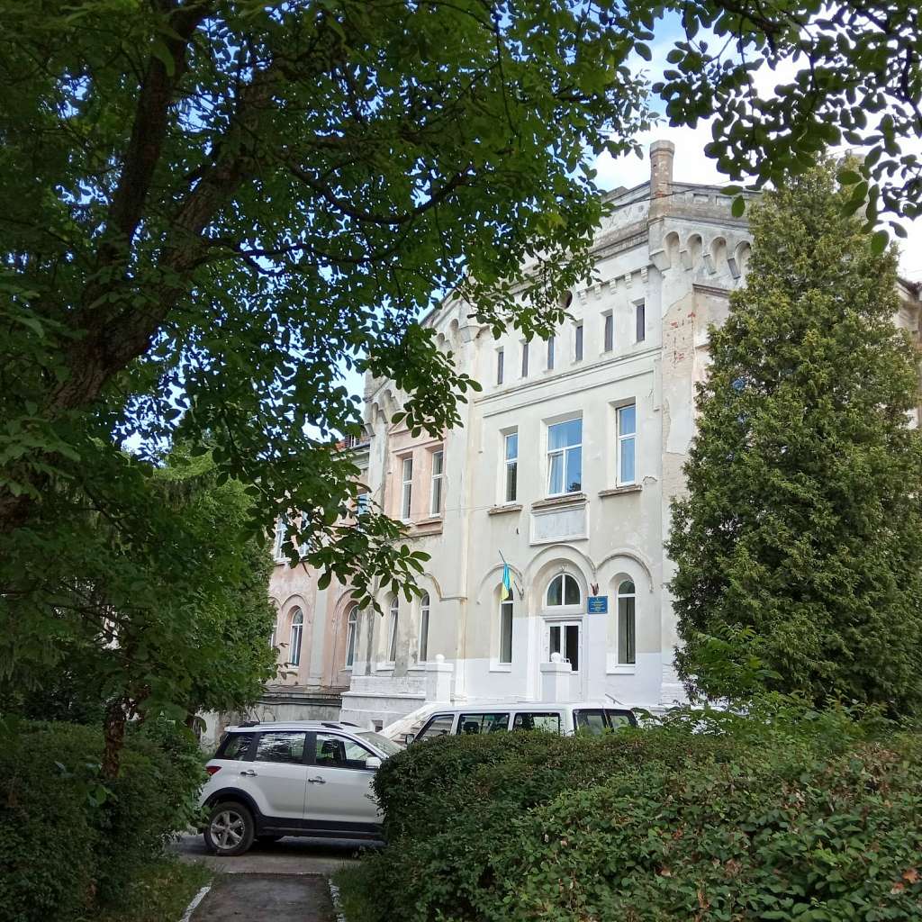 Палац Скарбека (психіатрична лікарня) - Заклад