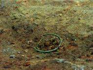 Археологи розкопали унікальні артефакти на По