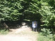 ДИКИЙ ХУТІР