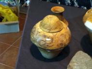 Музей Трипільської культури