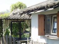 ДИКИЙ ХУТІР