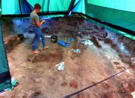 Археологи розкопали унікальні артефакти на По