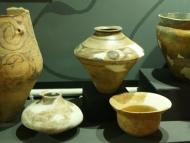 Музей Трипільської культури