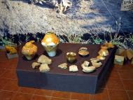 Музей Трипільської культури