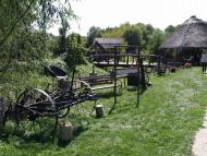 ДИКИЙ ХУТІР